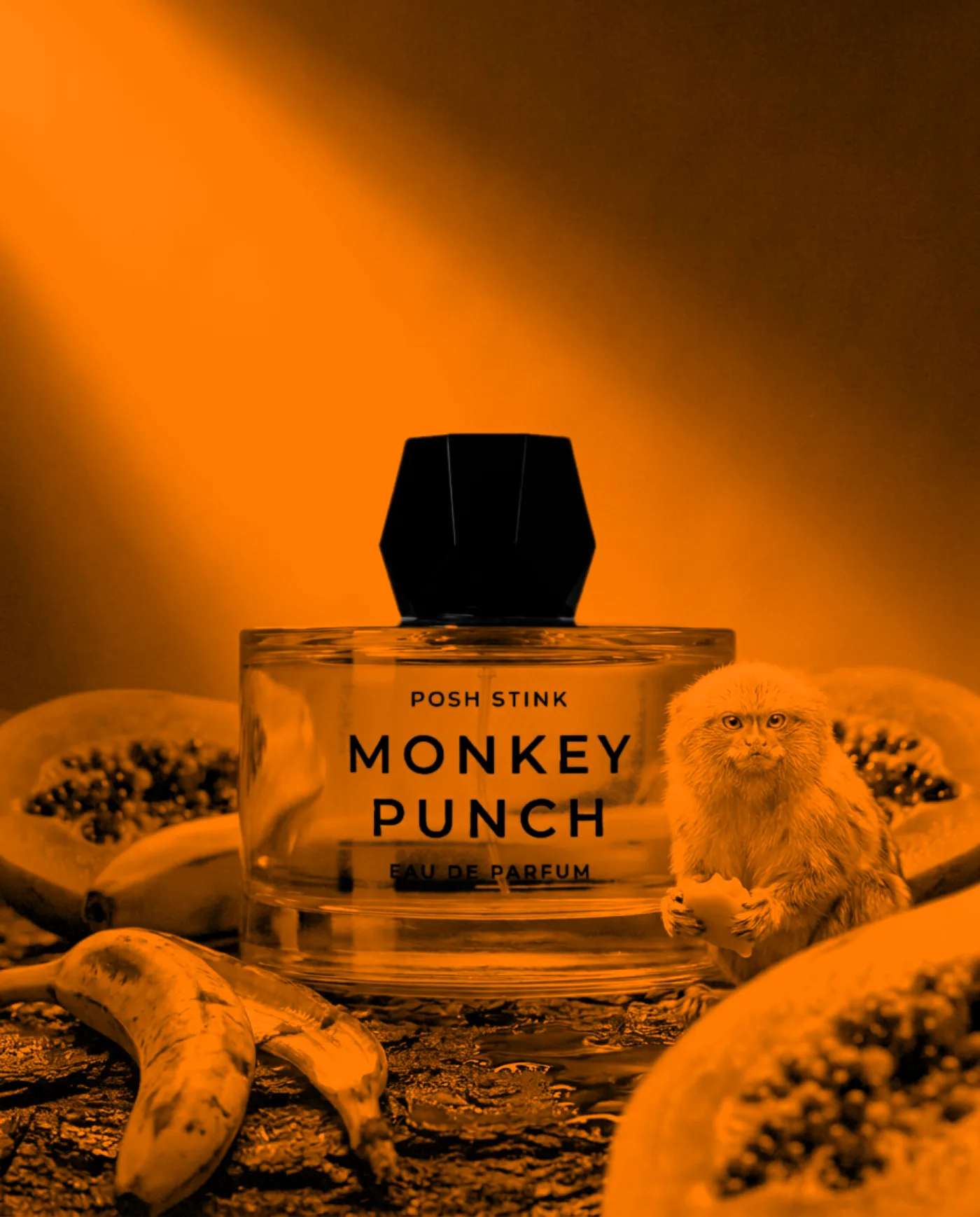 Posh Stink Design de ambalaj și direcție de artă · Alkeme Design