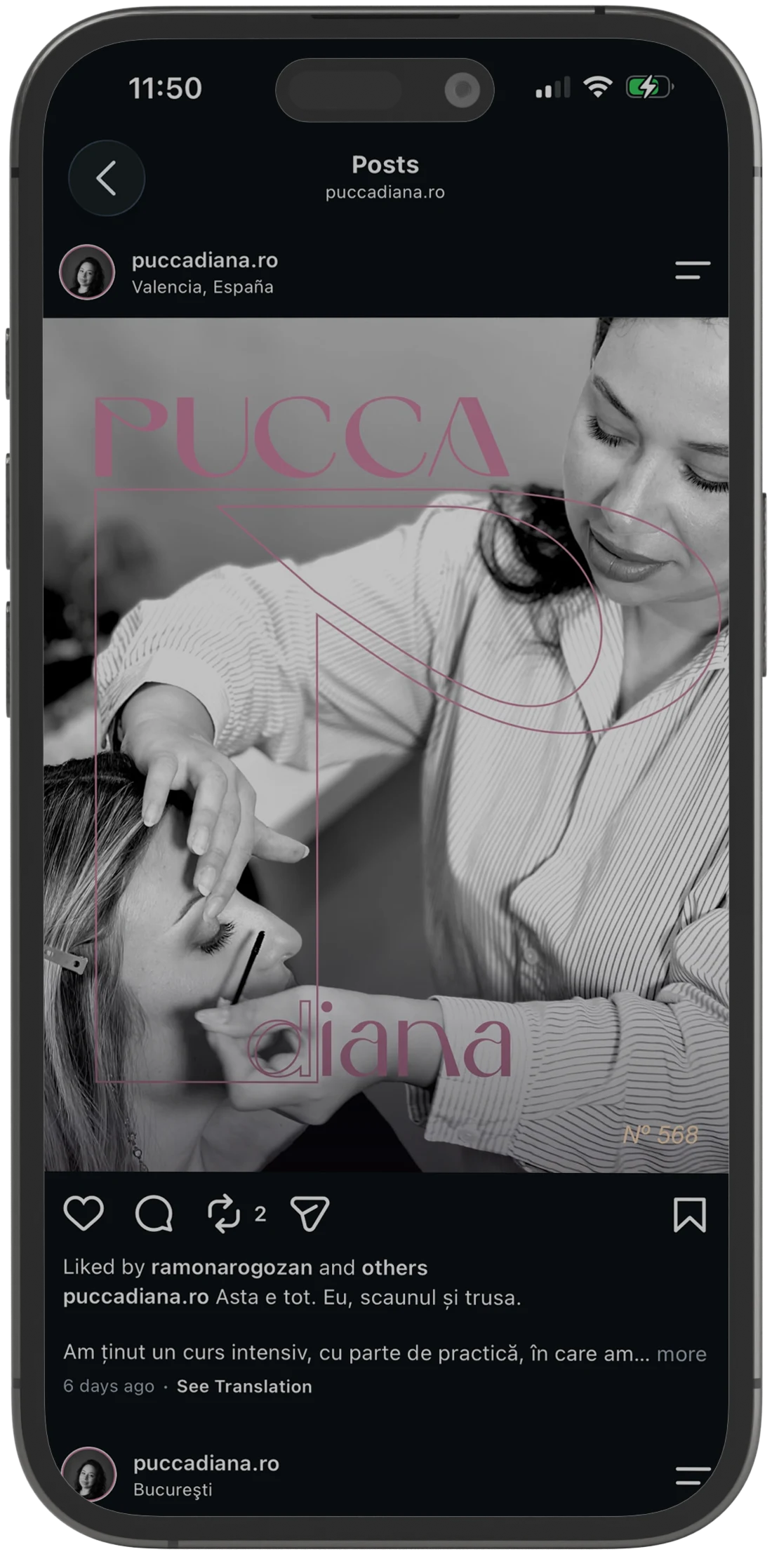 Pucca Diana Telefonul pe primul loc, nu pe ultimul · Alkeme Design