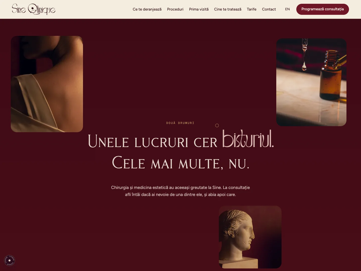 Sine Qlinique Site-ul: prima pagină · Alkeme Design